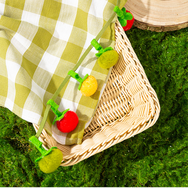 📢📢HOT SALE !!!✨Interactive Fruit-Shaped Catnip Toy String